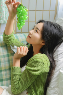 挑战者sjm